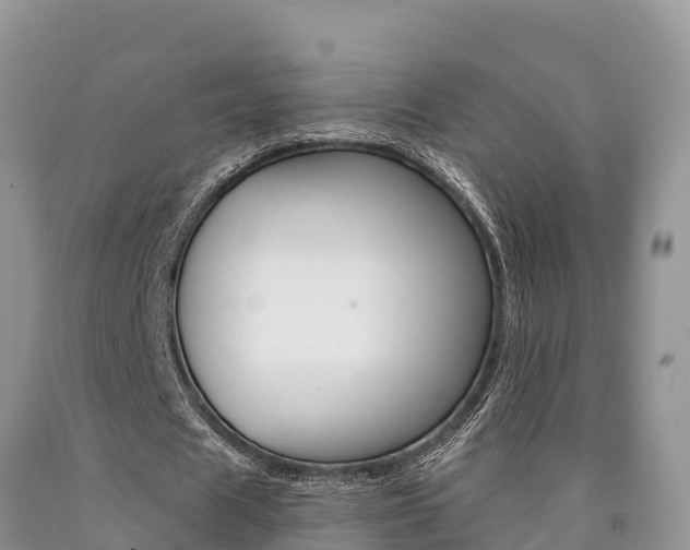 X0000090780625200707201135
