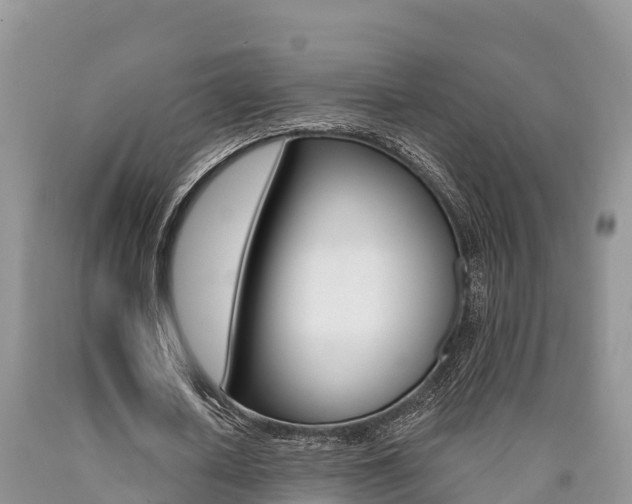 X0000090780626200707201135