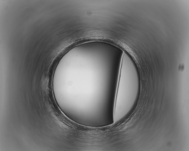 X0000090780627200707201135