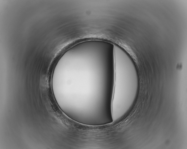 X0000090780628200707201135