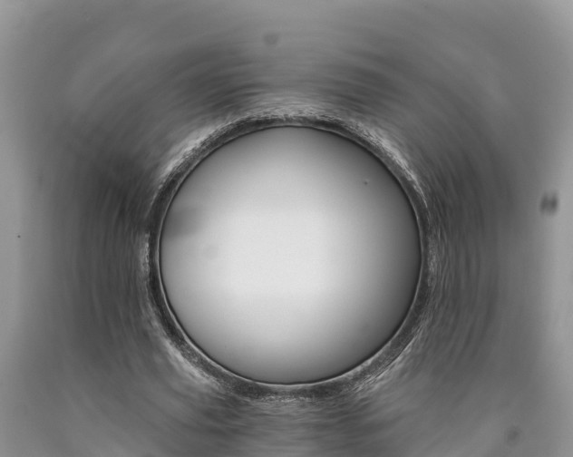 X0000090780629200707201135