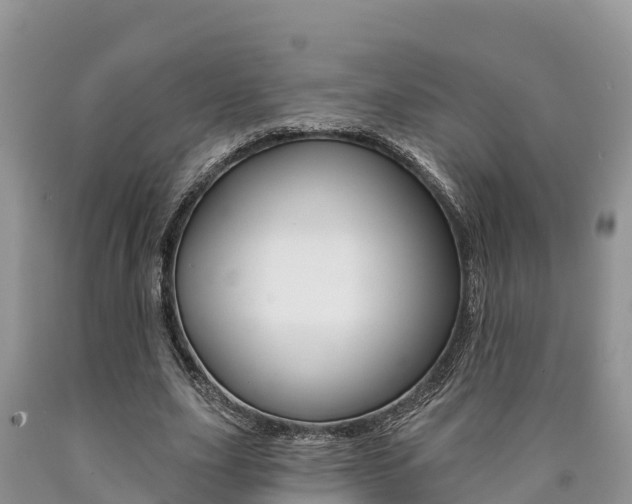 X0000090780631200707201135