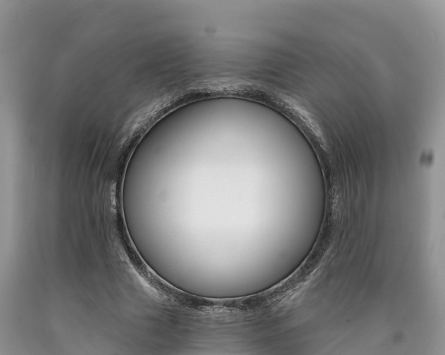 X0000090780633200707201135