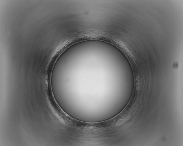 X0000090780634200707201135