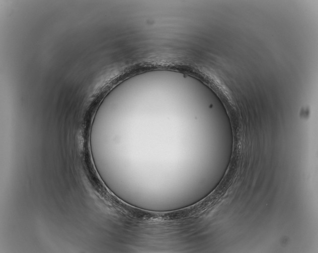 X0000090780635200707201135