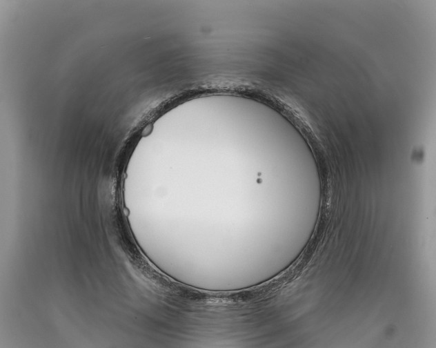 X0000090780636200707201135
