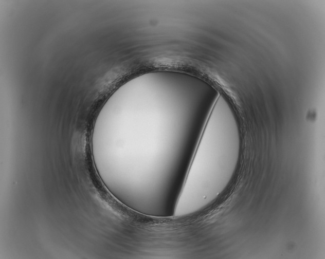 X0000090780637200707201135