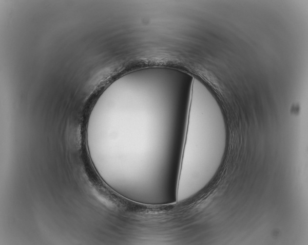 X0000090780638200707201135
