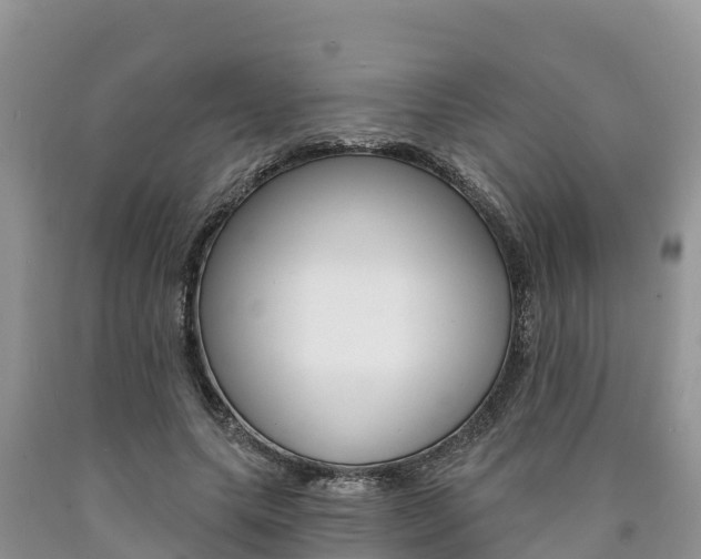 X0000090780639200707201135