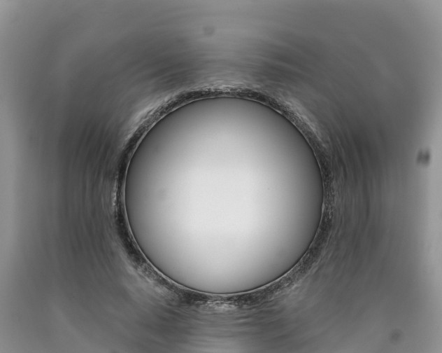 X0000090780640200707201135
