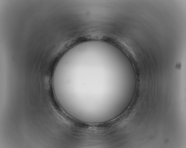 X0000090780641200707201135