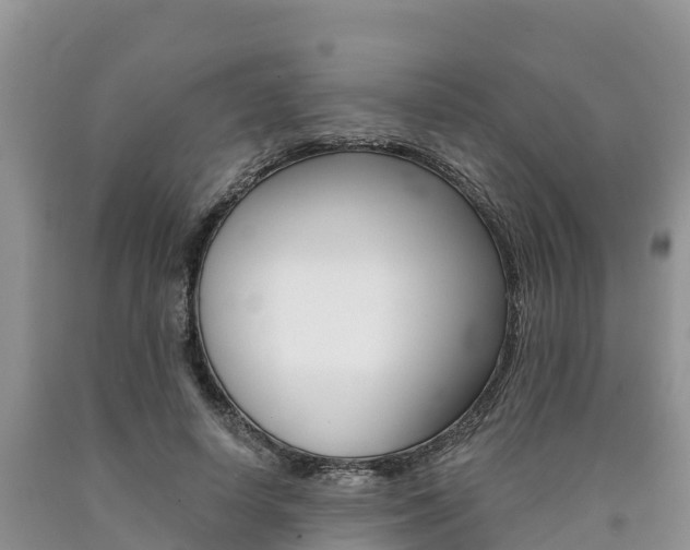 X0000090780642200707201135