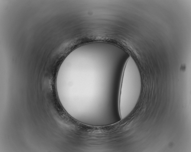 X0000090780643200707201135