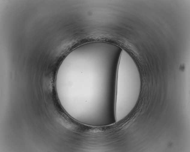 X0000090780644200707201135