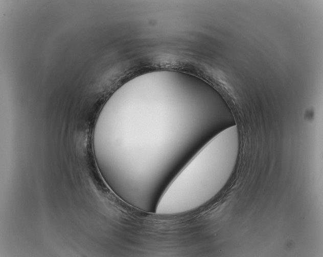X0000090780645200707201135