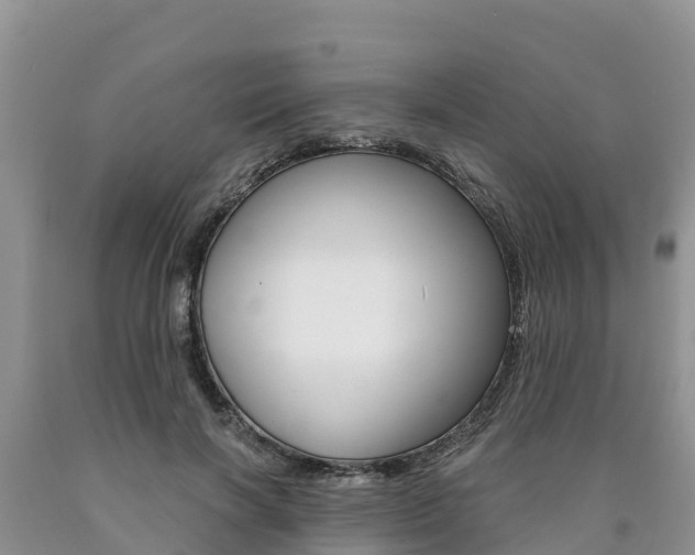X0000090780646200707201135