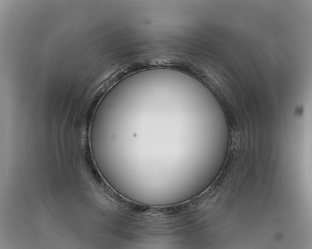 X0000090780648200707201136