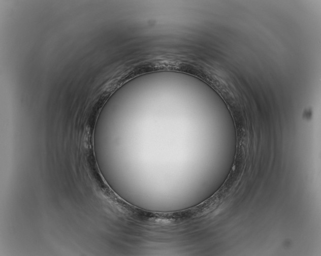 X0000090780649200707201136