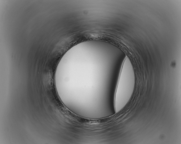 X0000090780651200707201136
