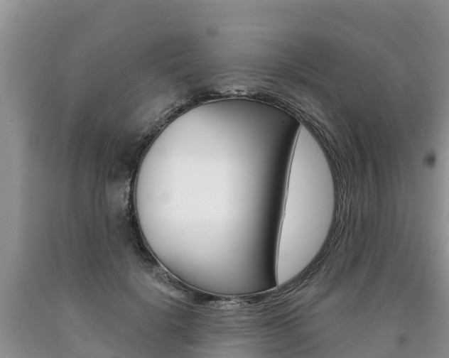 X0000090780652200707201136