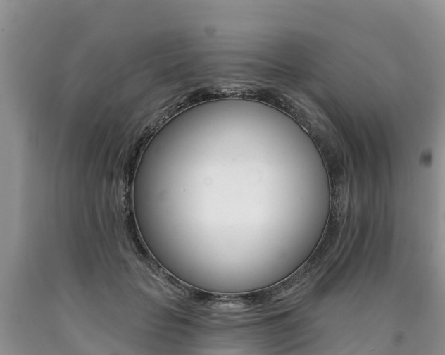 X0000090780653200707201136
