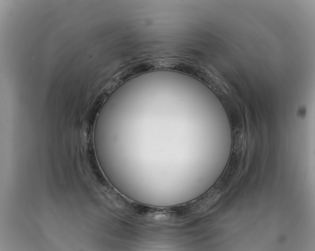 X0000090780655200707201136