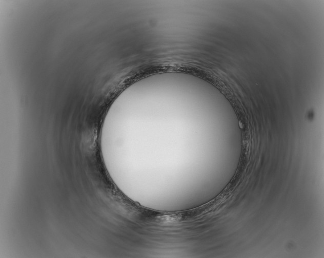 X0000090780660200707201136