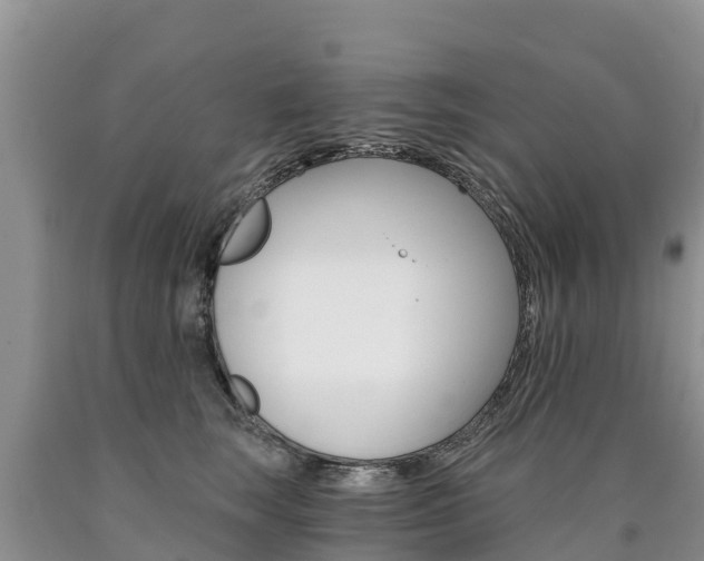 X0000090780663200707201136