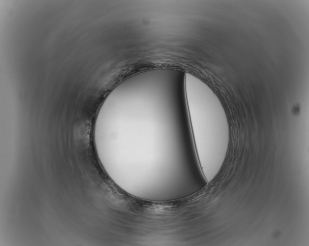 X0000090780664200707201136