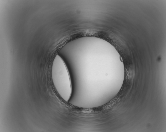X0000090780666200707201136