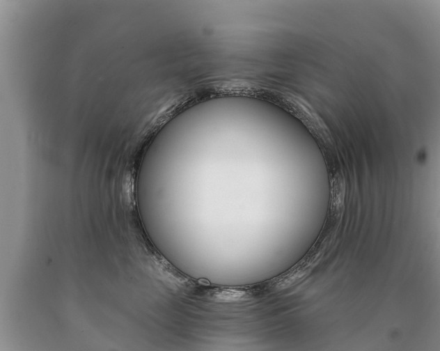 X0000090780669200707201136