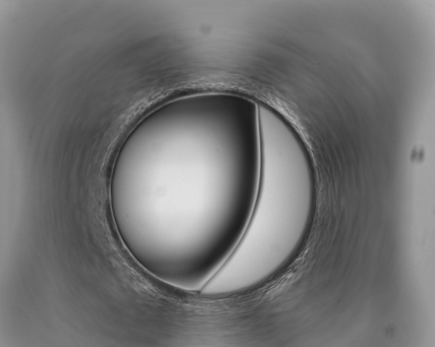 X0000090780673200707201135