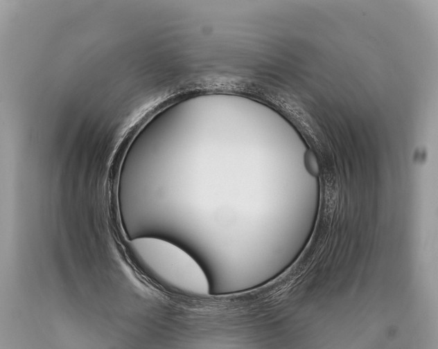 X0000090780674200707201135