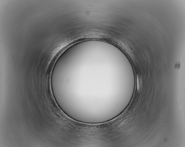 X0000090780675200707201135