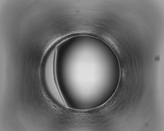 X0000090780676200707201135