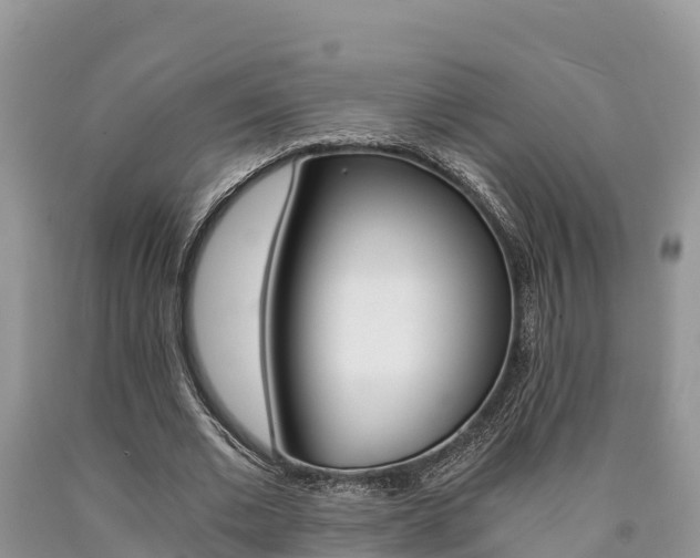 X0000090780677200707201135