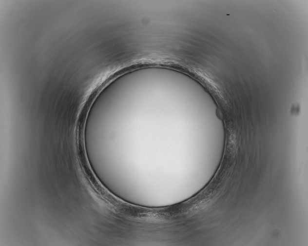 X0000090780678200707201135