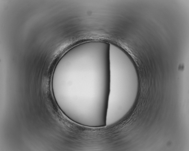 X0000090780679200707201135