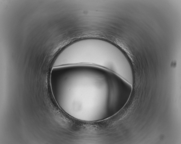 X0000090780681200707201135