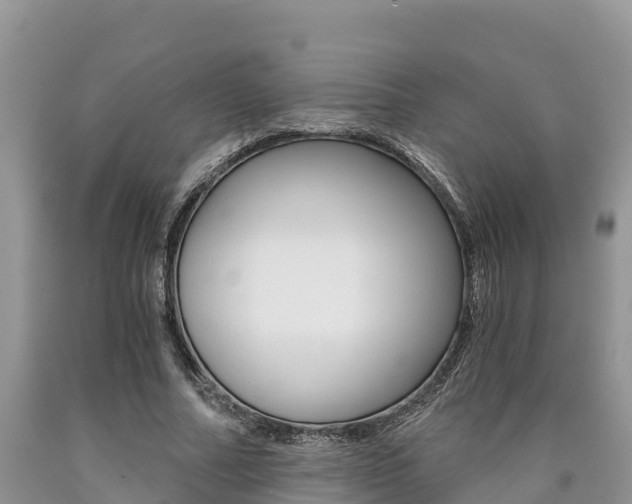X0000090780682200707201135