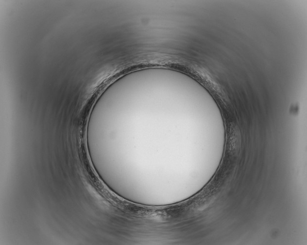 X0000090780683200707201135