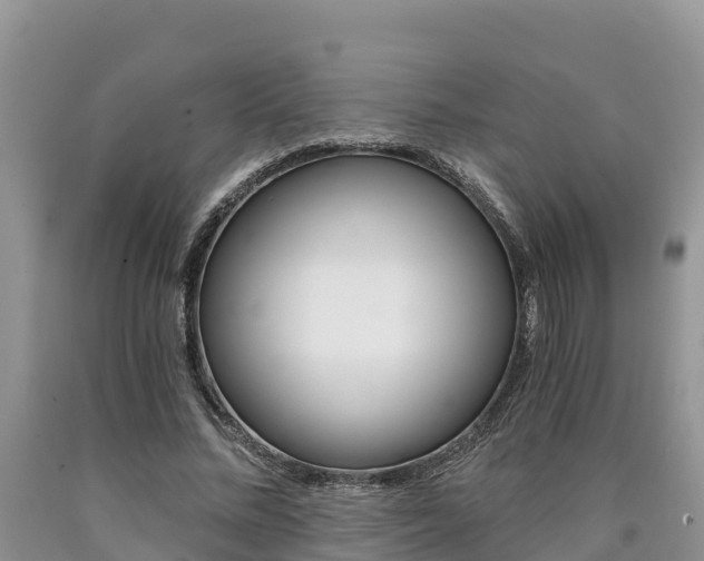 X0000090780684200707201135