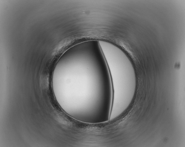 X0000090780685200707201135