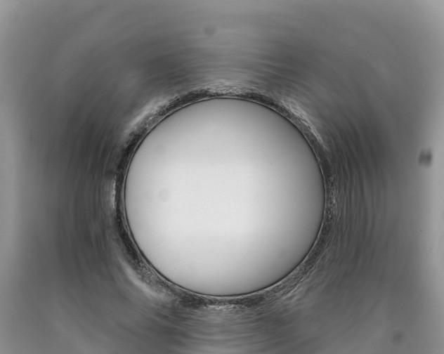 X0000090780686200707201135