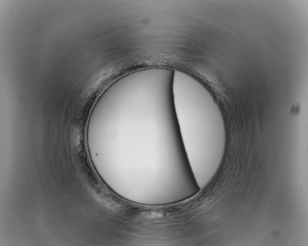 X0000090780687200707201135