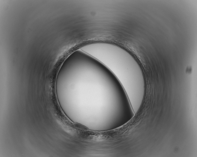 X0000090780688200707201135