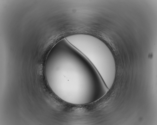X0000090780689200707201135