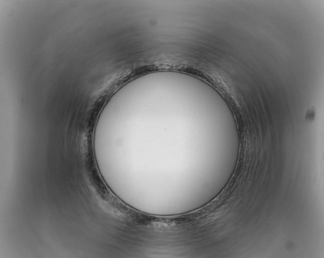 X0000090780690200707201135