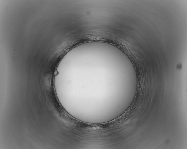 X0000090780695200707201135
