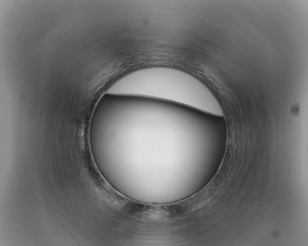 X0000090780696200707201135